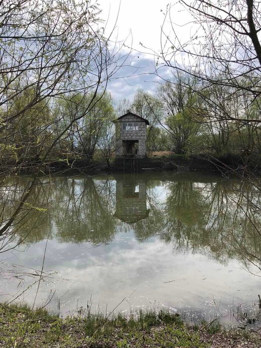 Загородный дом, сруб, баня, бильярд, рыбалка, река, лес