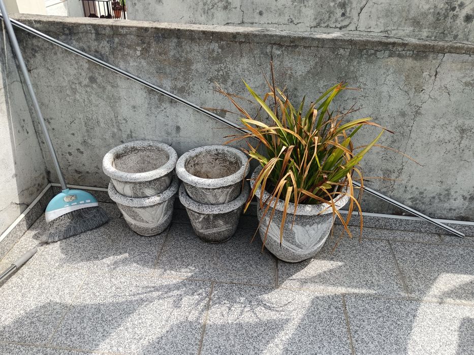Vasos em cimento