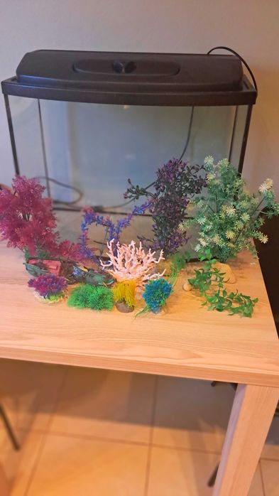 Akwarium 72l + statek piracki & sztuczna rafa