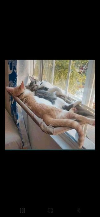 Legowisko dla kota na okno