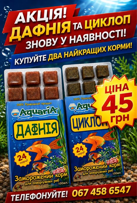 Заморожений корм для риб Дафнія і Циклоп.