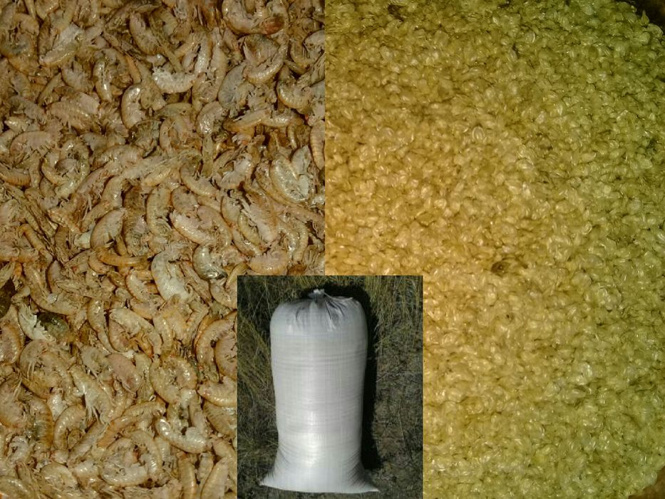 Дафния  сухая от заготовителя 2024 (  1 кг)- продам