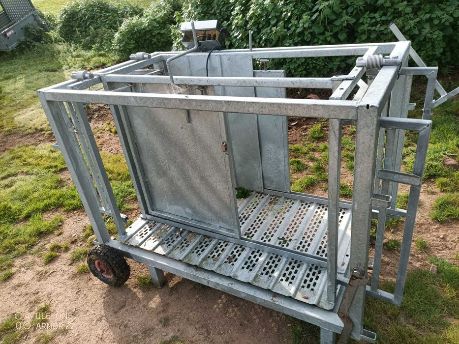 Balança móvel analógica para ovinos / caprinos