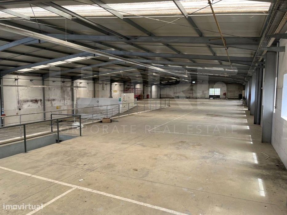 Armazém para oficina automóvel/Serviços | VENDE/ARRENDA | Arrifana ...