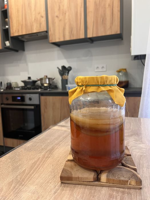 Комбуча, чайний гриб