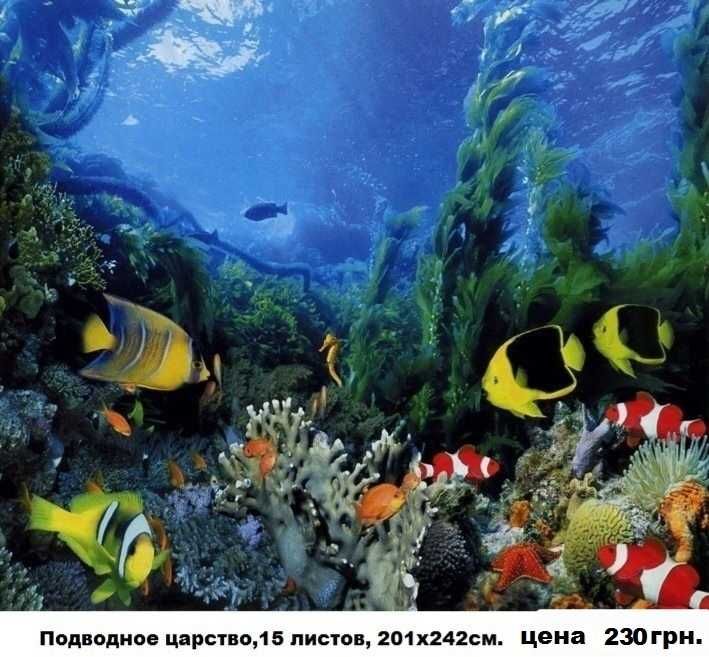 Фотообои глянцевые!  Шпалери.