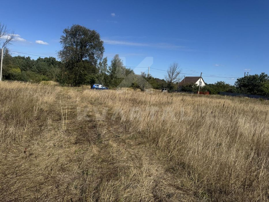 Земельна ділянка в с. Дружня, 15 соток. Вигідна пропозиція
