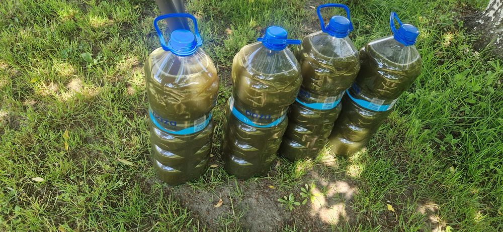 Gnojówka z Pokrzyw+sadzonka mięty dostawa gratis