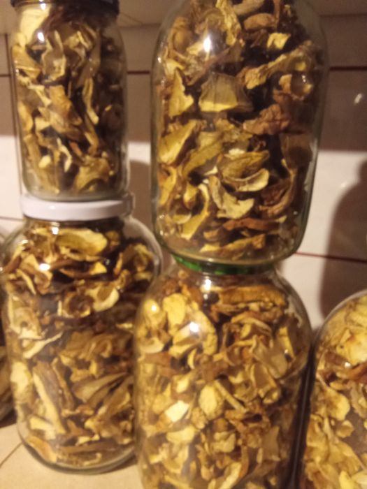 Sprzedam borowiki suszone