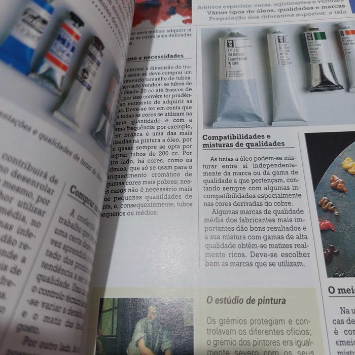 Pintura a óleo - manuais PET Plátano Editora
