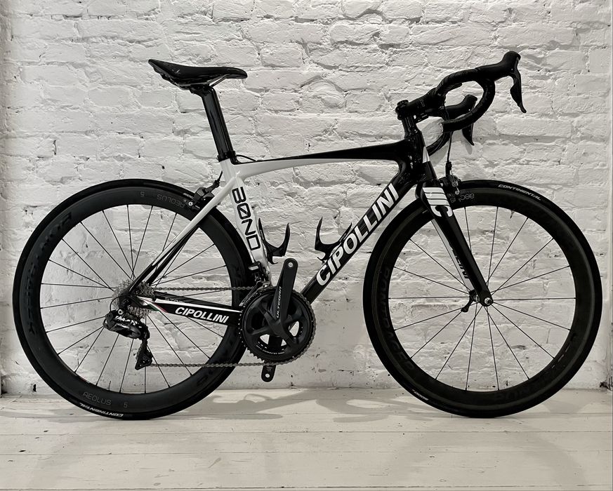 Cipollini Bond - oddam w dobre rece