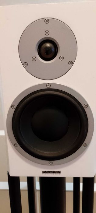 Dynaudio Exite X18 em estado praticamente novo Incluindo cabos