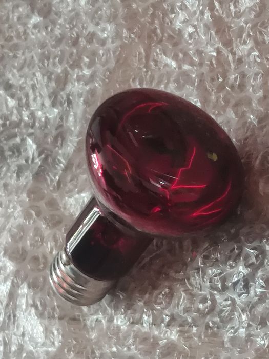 żarówka do terrarium