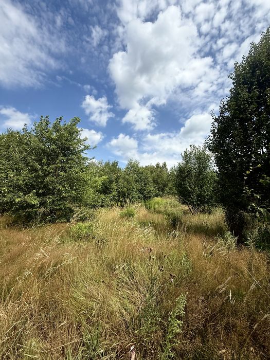 Zalesie 1435m2 Grodzisk Mazowiecki