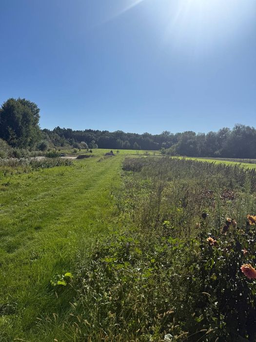 Земельна ділянка з будинком|с.Соснівка|Рівненська обл