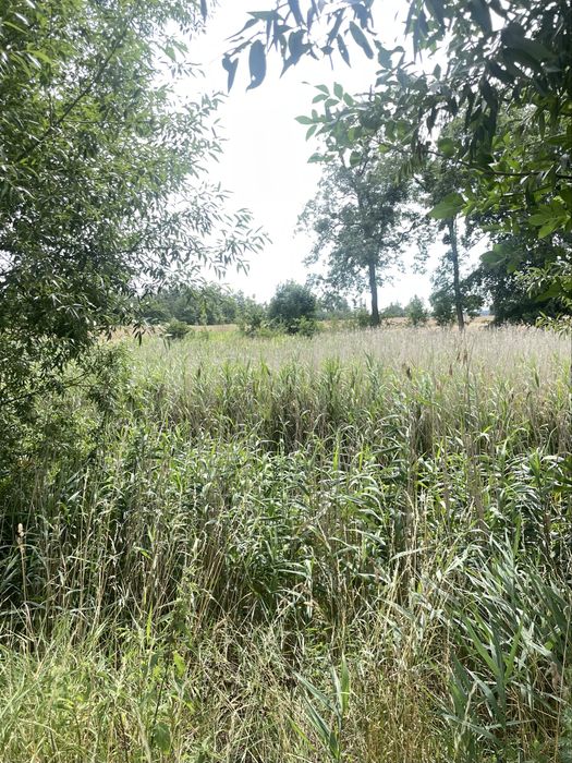 Działka w zielonej okolicy z opcją zabudowy mieszkaniowej