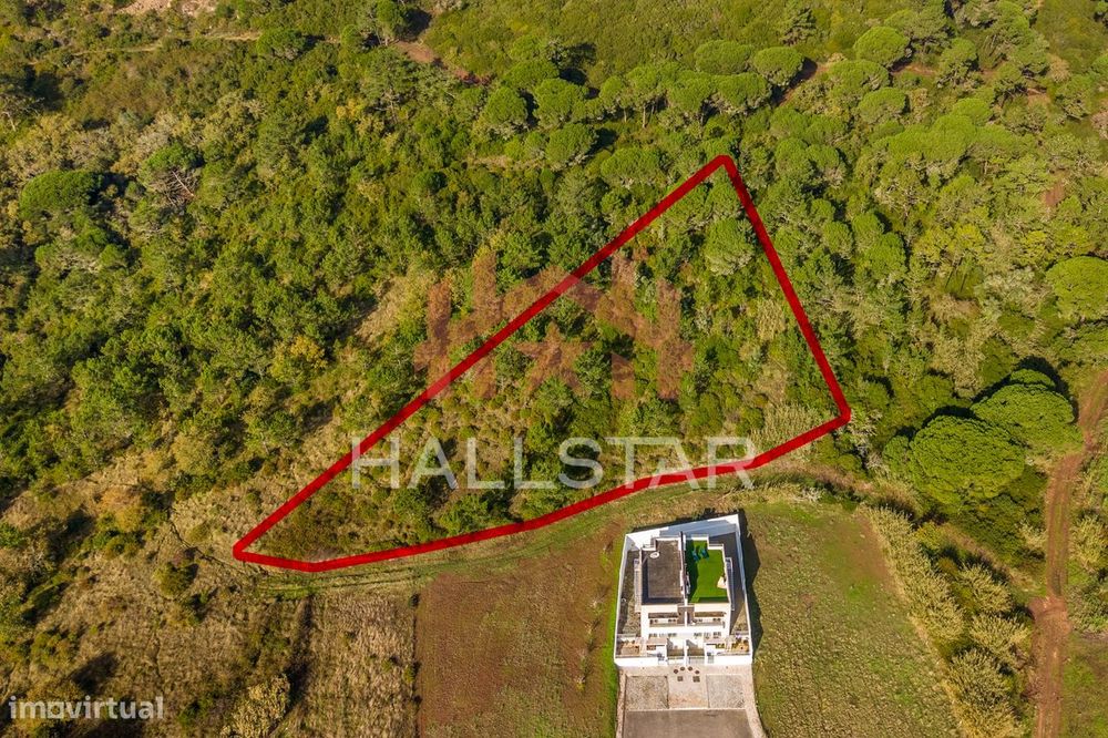 Terreno Exclusivo / Vistas Amplas / Famalicão — Famalicão, Leiria
