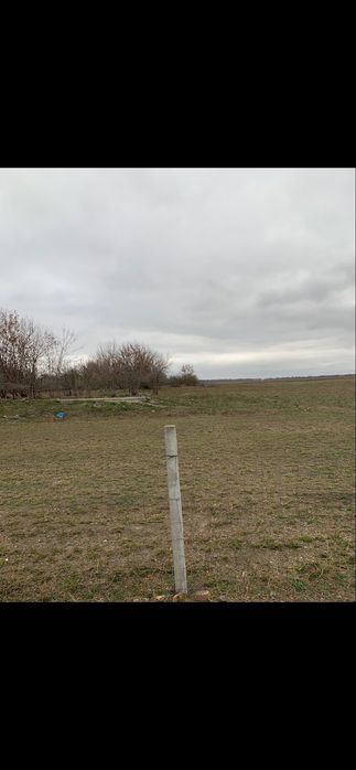 Ферма свиноферма вівчарня