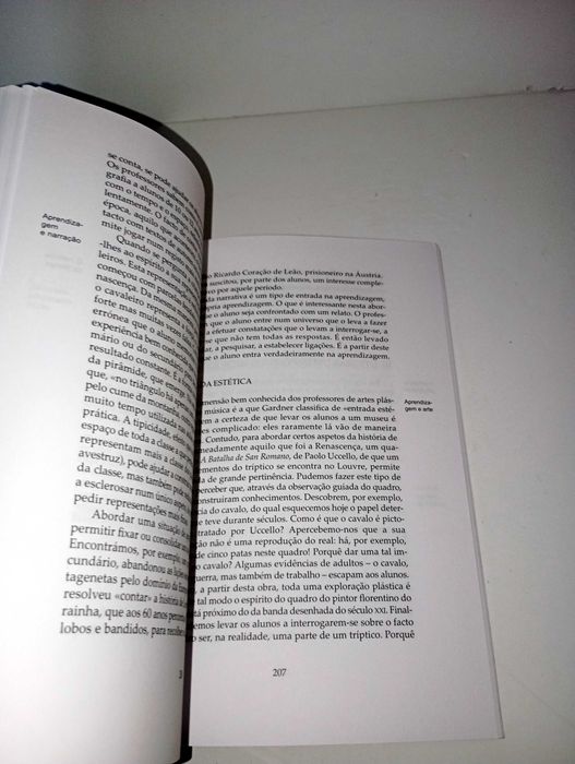 As Estratégias de Aprendizagem