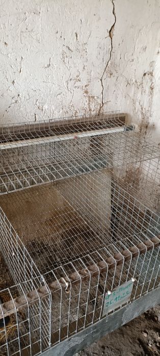 Продам мини кролеферму