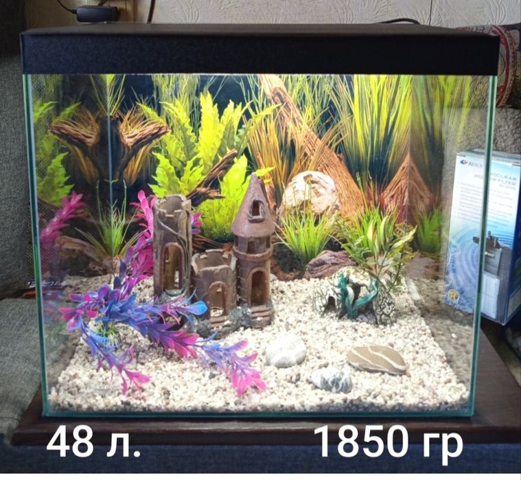 Аквариумы на любой вкус