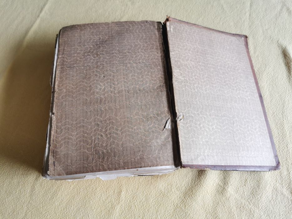 Dicionário etymologico da língua Portuguesa. Sec.XIXxix