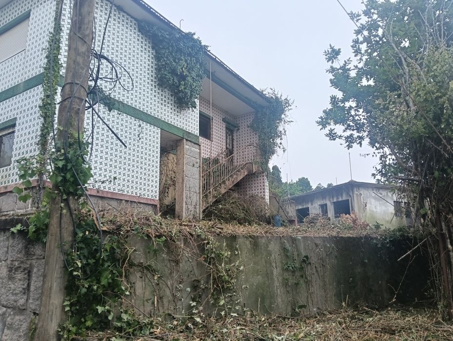 limpeza de terrenos e jardins