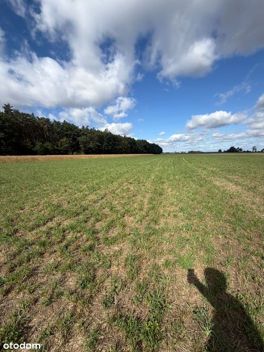 Działka budowlana 1100 m² z warunkami zabudowy – Chocianowice
