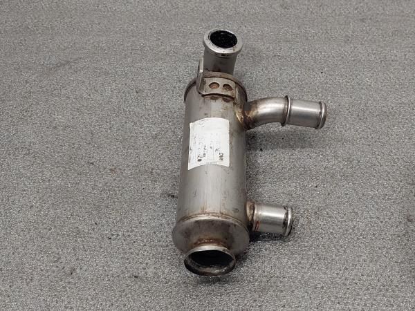Radiador de gases / EGR FORD Focus II (DA_)