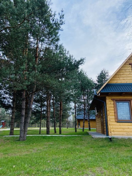 Wynajem domków!!! Balia, alpaki !