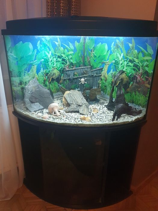 Akwarium narożne 170l z szafką