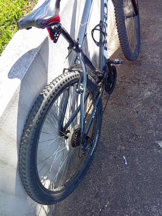 Bicicleta de montanha