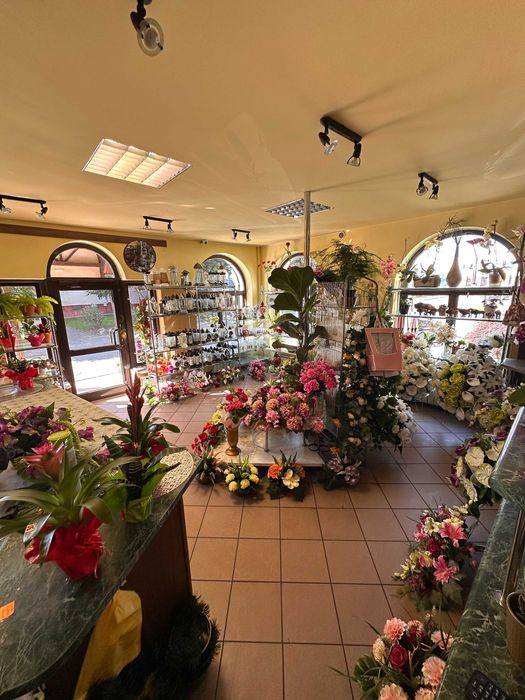 Wynajmę lokal usługowy