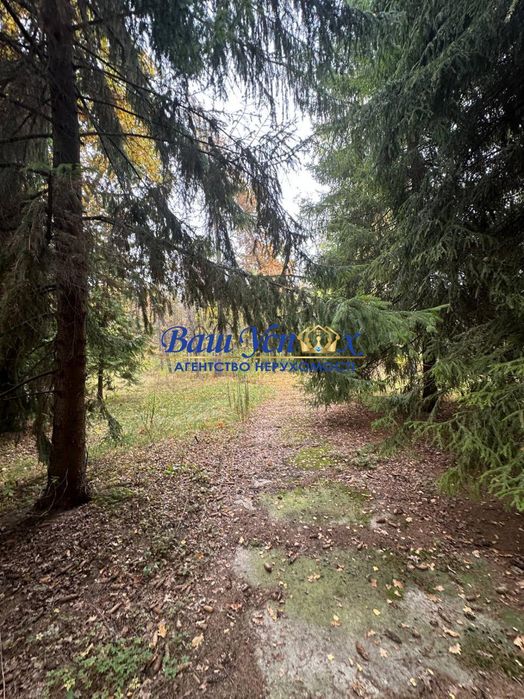 Продажа базы отдыха в лесу  село Баришевка .Броварской район.