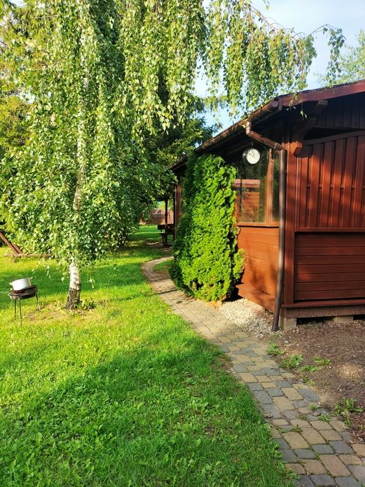 Noclegi dla firm,, Noclegi, Wąbrzeźno ,Radzyń chełmiński,Kowalewo