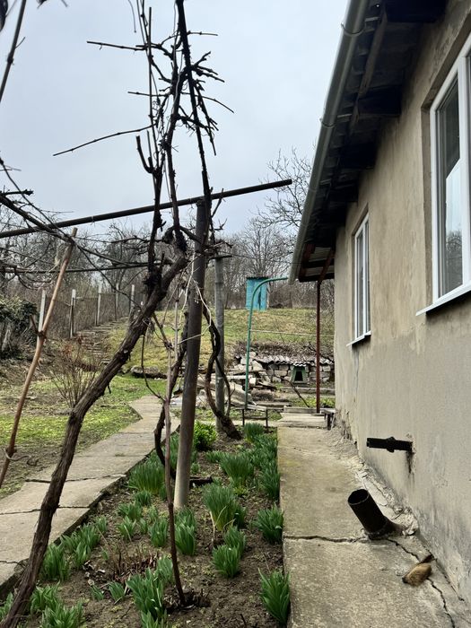 Приватний будинок Балта