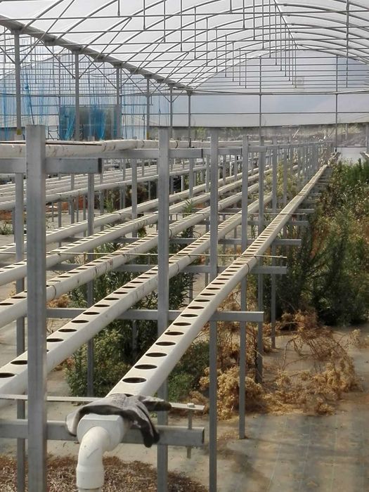 Sistema de calhas NFT64584677871107124