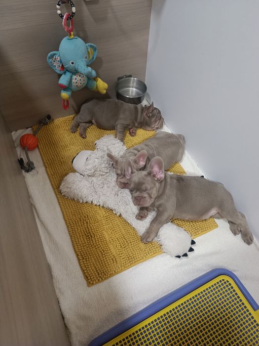 Доступний хлопчик спішіть