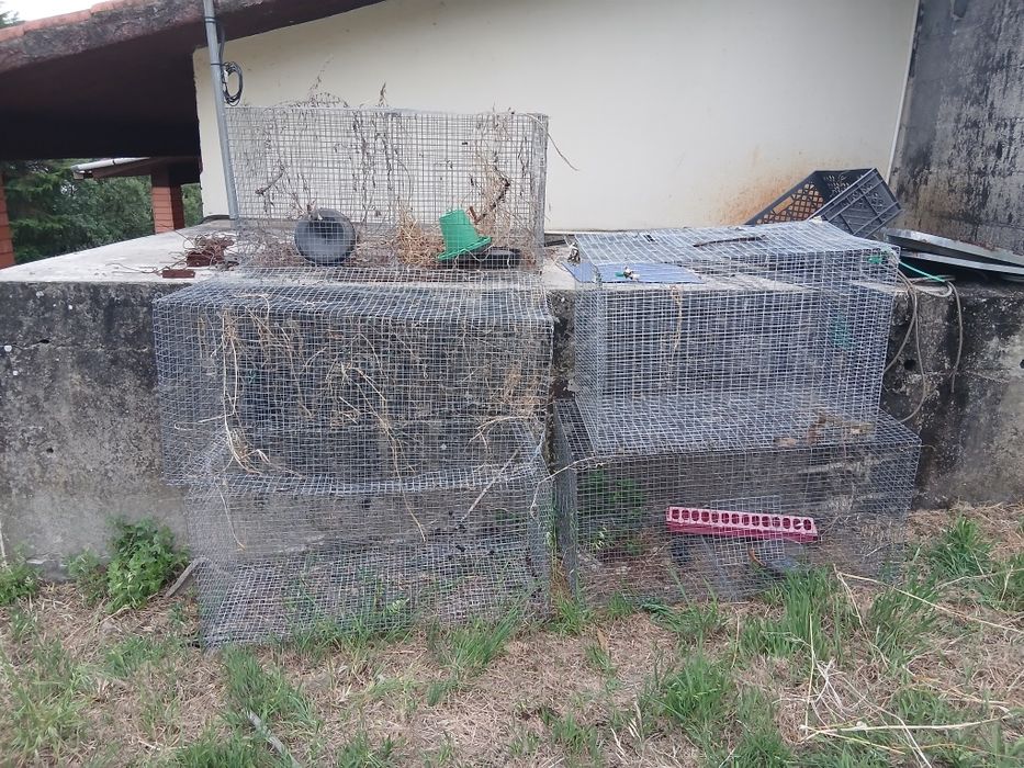 Lote gaiolas com varias medidas