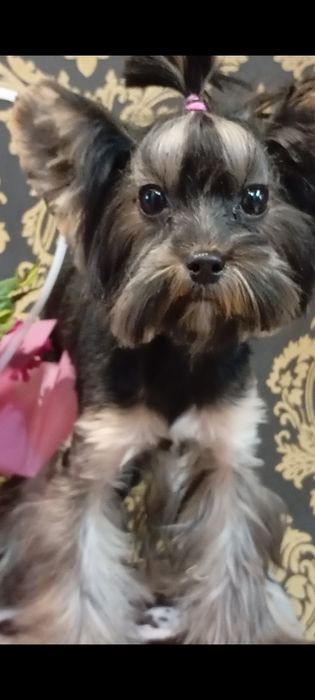 Супер малыш красавчик