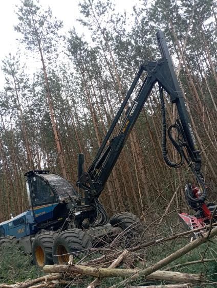 Usługa czyszczenia trzebieży lasu i nieużytków skup drewna na pniu