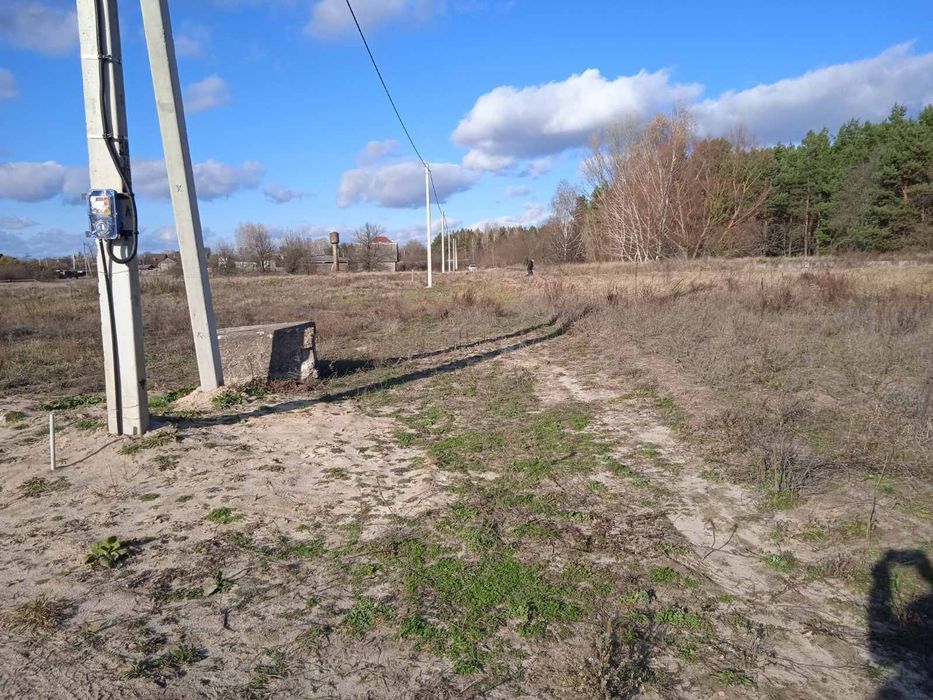 Плесецкое.(Перевоз) Участок 12.5сот., (в окружении леса)