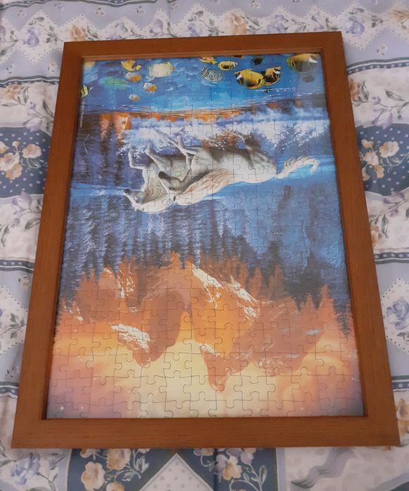 Puzzles emoldurados