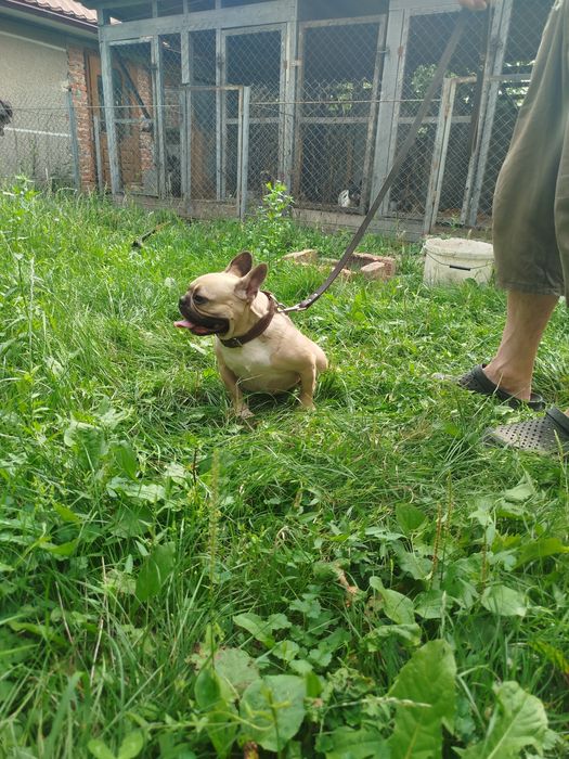 Чудова дівчинка готова переїхати в люблячу сім'ю