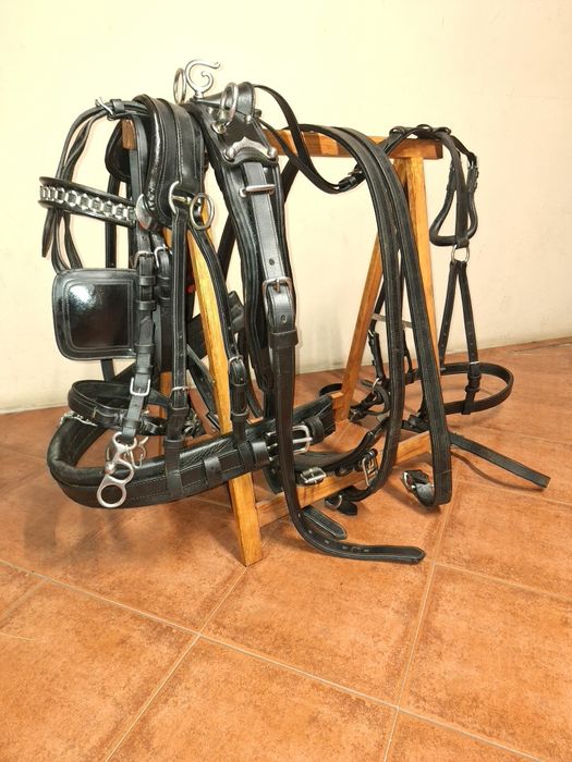 Arreio de engate -  Singular preto