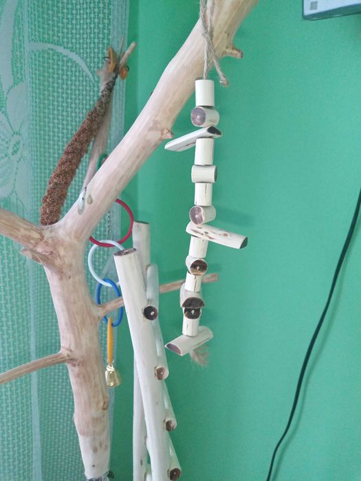 Іграшка для папуг