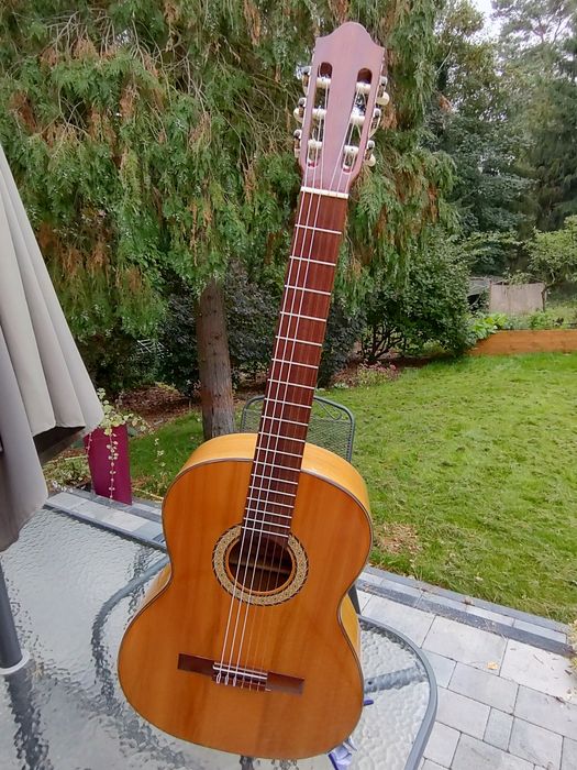Flamenco guitar Strunal Schoenbach Amada LG51 gitara klasyczna Cypress