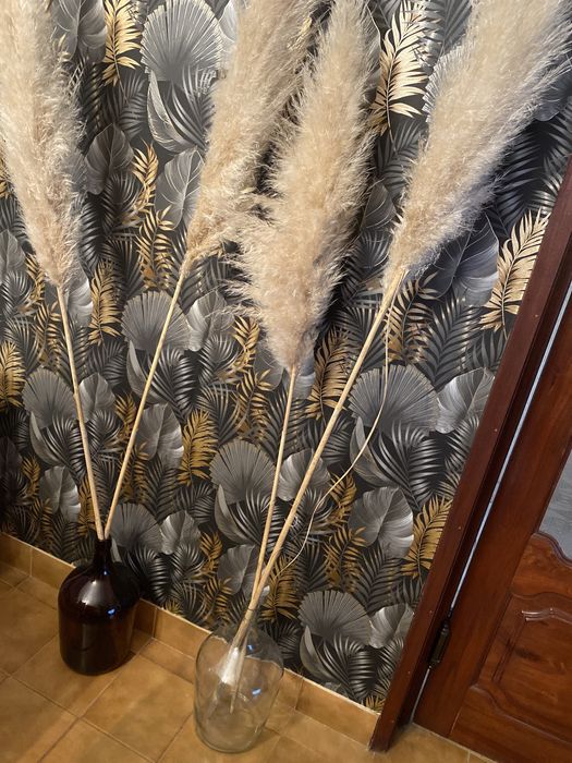 Garrafões para decoração