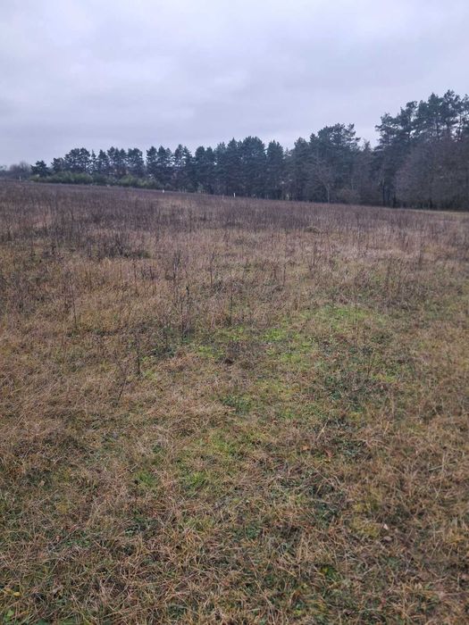 Продам земельну ділянку с/г призначення в Стрижавці 0962