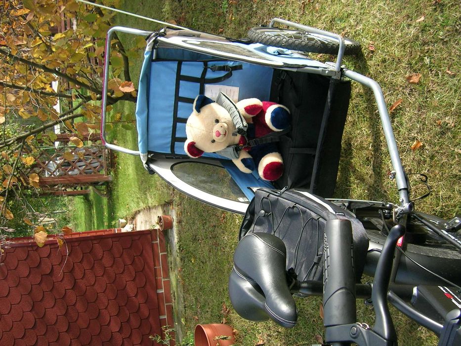 przyczepka rowerowa riksza dla dziecka ładna